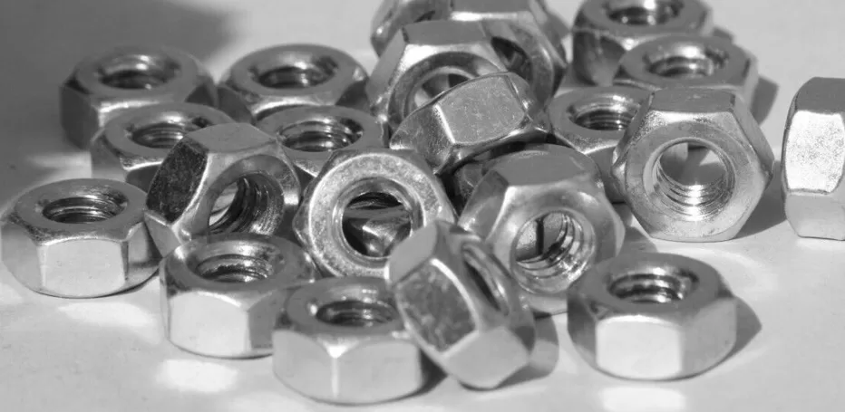 Stainless Steel 304L Nuts Manufacturer