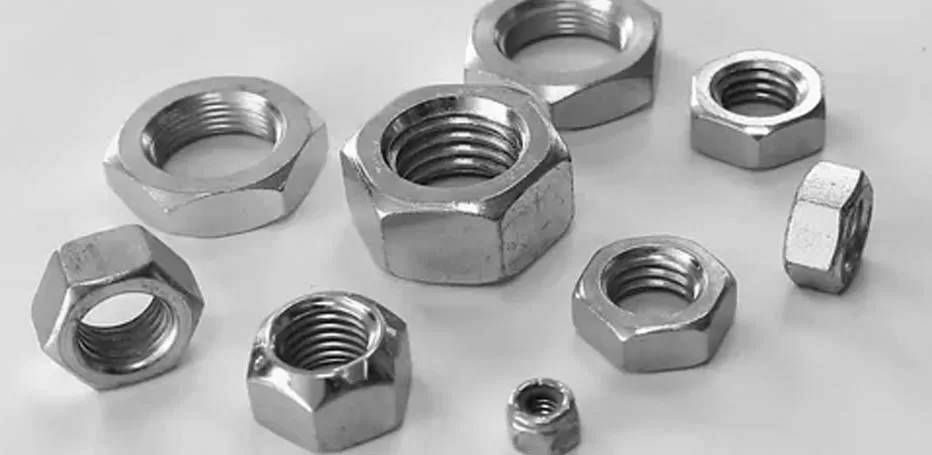 Stainless Steel 316Ti Nuts Manufacturer