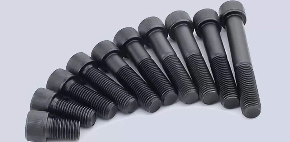 Carbon Steel Bolts Manufacturer