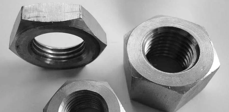 Duplex Steel S31803 Nuts Manufacturer