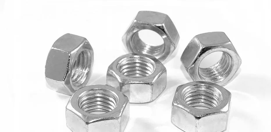 Duplex Steel S32205 Nuts Manufacturer