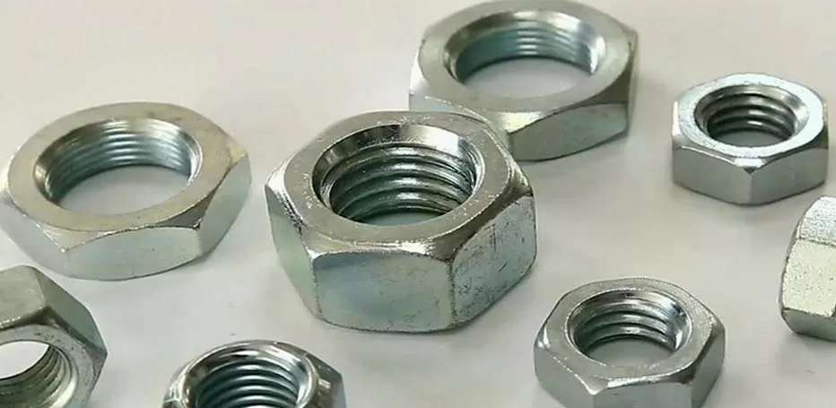 Hastelloy C22 Nuts Manufacturer