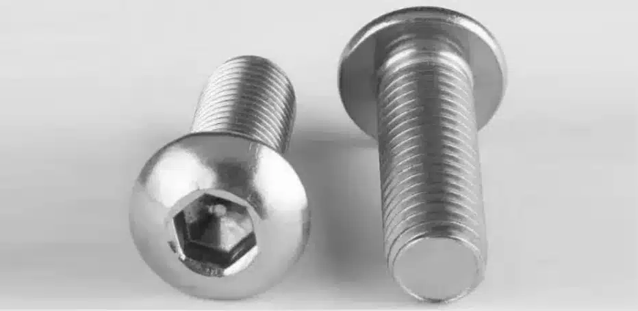 Stainless Steel 310/310S Screws Manufacturer