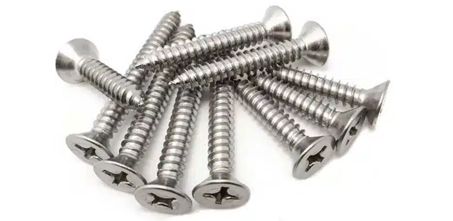 Stainless Steel 317/317L Screws Manufacturer