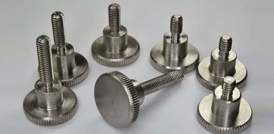 Stainless Steel 321/321H Screws Manufacturer