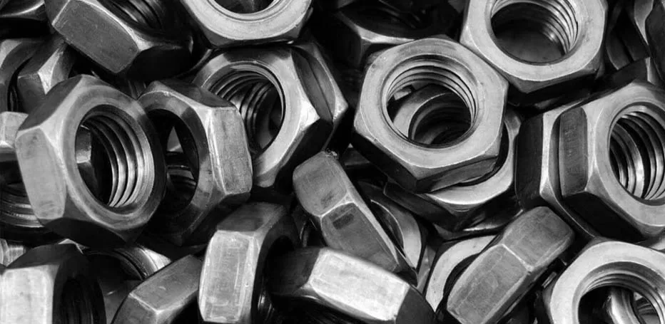 Stainless Steel 446 Nuts Manufacturer