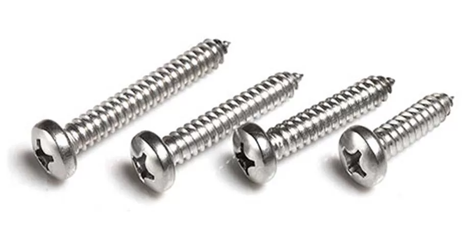 Stainless Steel 904L Screws Manufacturer