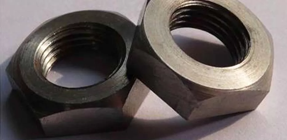 Titanium Gr 2 Nuts Manufacturer