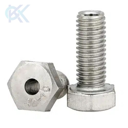 Hastelloy Hollow Hex Bolts Manufacturer
