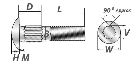 carriage bolts ribbed neck drawing